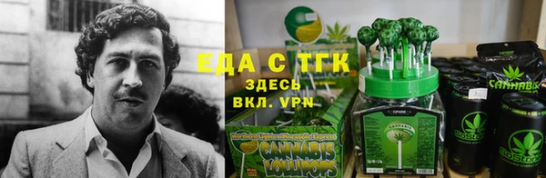 хмурый Алзамай