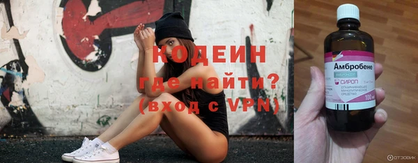 хмурый Алзамай