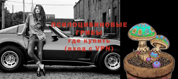 хмурый Алзамай