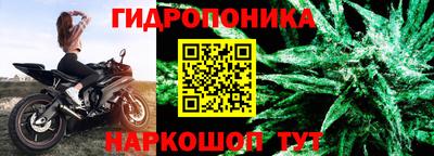 марихуана Новозыбков