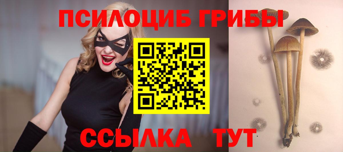 Галлюциногенные грибы Cubensis  Вход с VPN  Тула  где купить наркоту  Псилоцибиновые грибы Psilocybine cubensis 